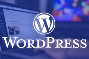 Top 5 temas bons e baratos do WordPress