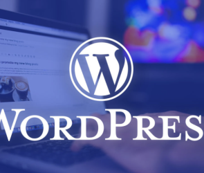 Top 5 temas bons e baratos do WordPress