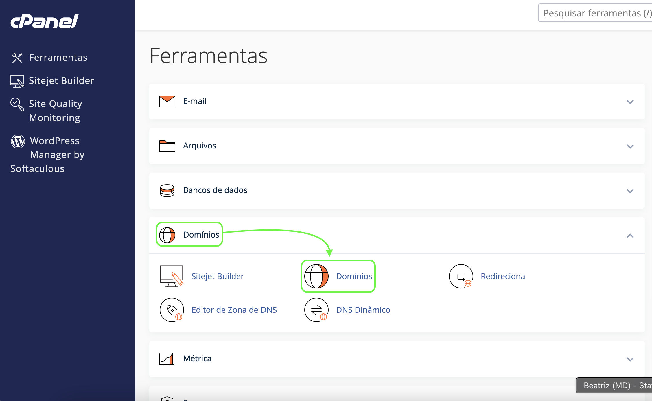 Representação da localização da aba "Domínios" e da opção "Domínios"