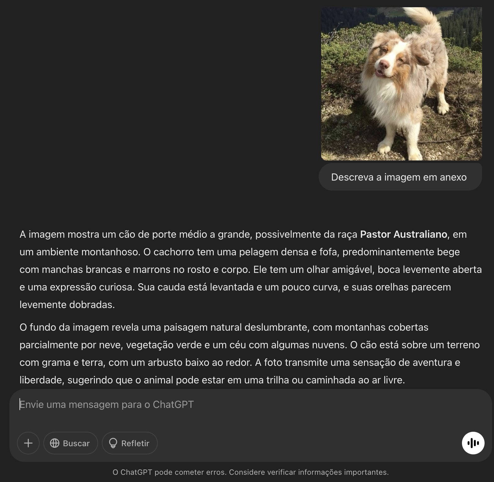 Descrição de uma imagem pelo ChatGPT