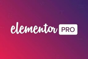 Nova vulnerabilidade do Elementor Pro descoberta!